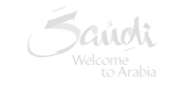 visit saudi